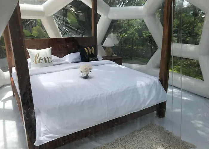 Jungle Bubble Bed & Breakfast Payangan