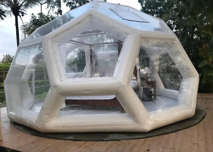 Bed & Breakfast Jungle Bubble Payangan