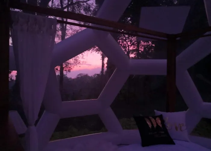 Jungle Bubble Bed & Breakfast *