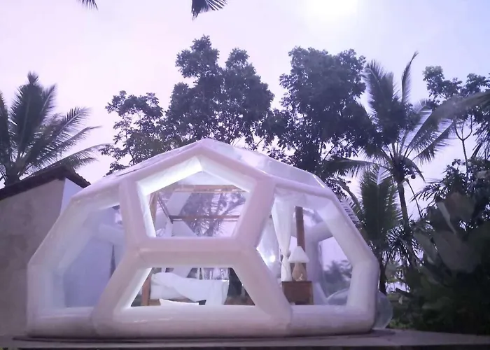 Bed & Breakfast Jungle Bubble