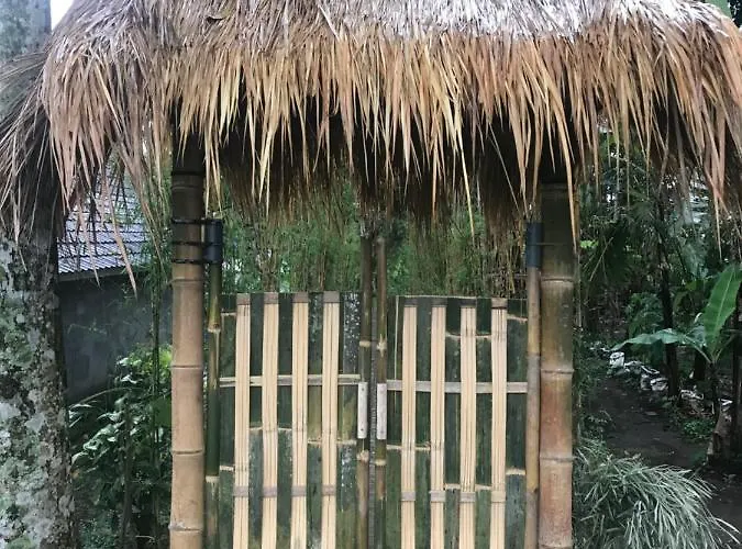 Bed & Breakfast Jungle Bubble Payangan