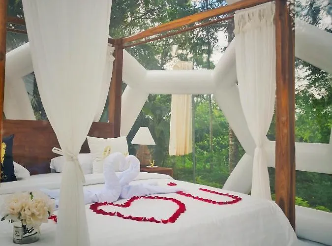 Jungle Bubble Bed & Breakfast Payangan