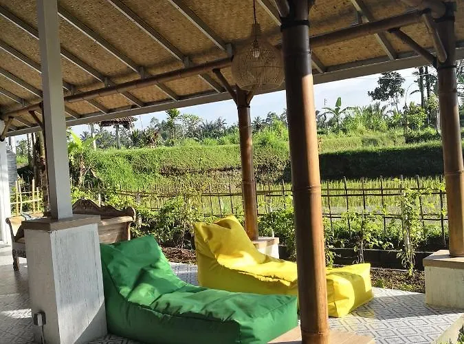 Bed & Breakfast Jungle Bubble *