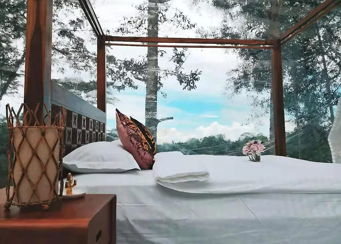 Jungle Bubble Bed & Breakfast Payangan