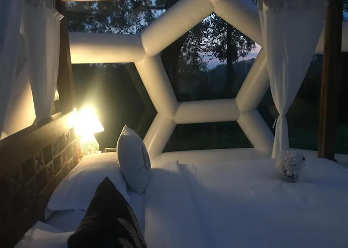 Jungle Bubble Bed & Breakfast *