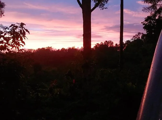 Jungle Bubble Bed & Breakfast Payangan