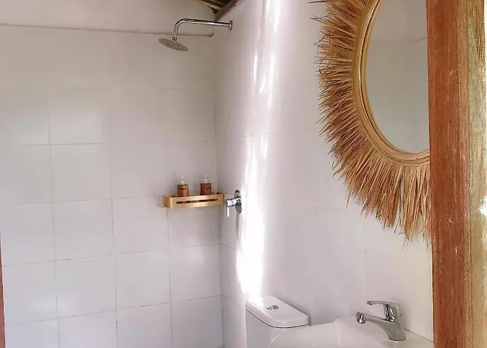 Bed & Breakfast Jungle Bubble *