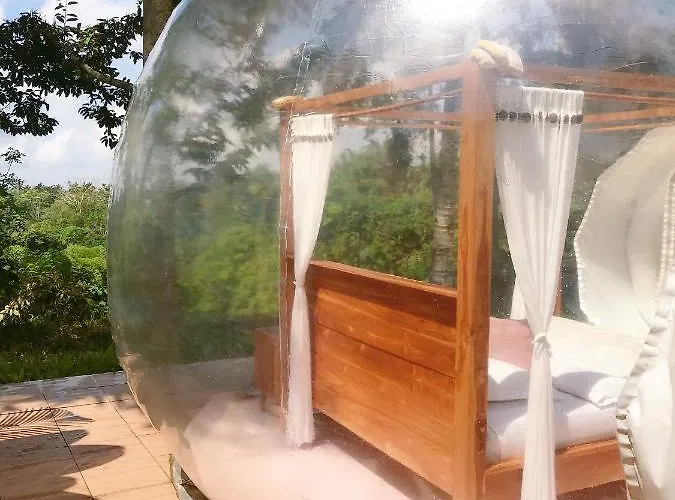 Jungle Bubble *