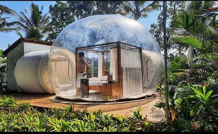 Jungle Bubble Bed & Breakfast