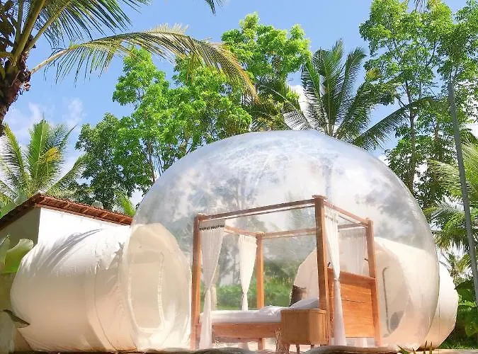 Jungle Bubble *