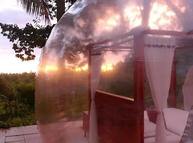 Bed & Breakfast Jungle Bubble *