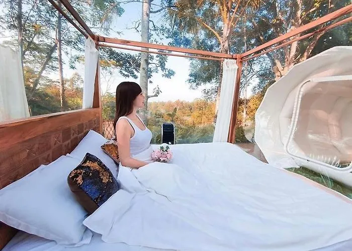 Bed & Breakfast Jungle Bubble *