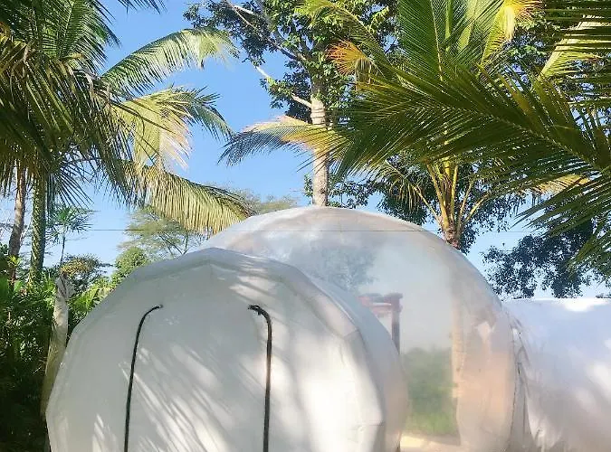 Bed & Breakfast Jungle Bubble Payangan
