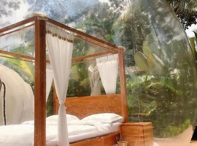 Bed & Breakfast Jungle Bubble *